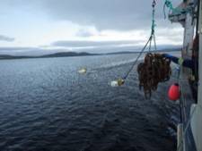 ASL Environmental Sciences Inc. announces the successful completion of an initial multi-week study to measure tidal currents in collaboration with the Nunatsiavut Government and Oceans North. Credit: ASL Environmental Sciences Inc.