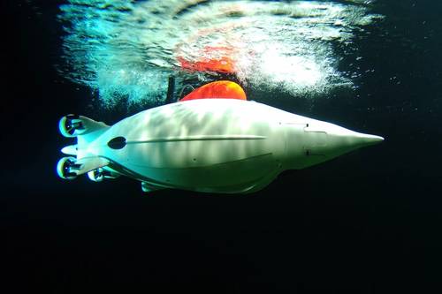 EvoLogics Presents the new PingGuin AUV.