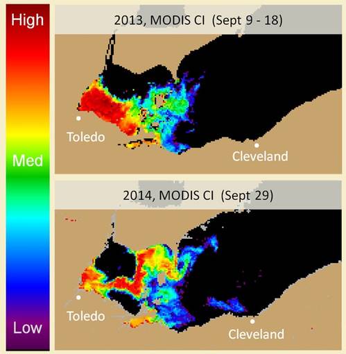 The extent of the Lake Erie algal bloom at its height in 2013 (top) and 2014 (bottom). Orange and red show concentrations that may cause scums and other issues. Different areas are affected in the two years because of wind patterns. The data came from NASA's Aqua satellite and was analyzed by NOAA's Center for Coastal Ocean Science. (Credit: NOAA)