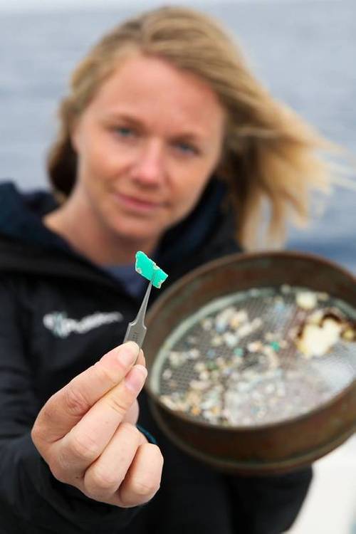 eXXpedition founder Emily Penn studying a sample. © Eleanor Church Lark Rise Pictures