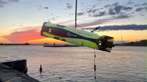 FlatFish  - Credit: Saipem (supplied)