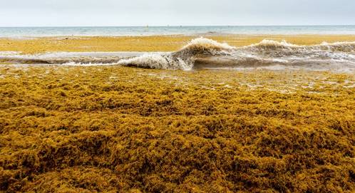 © Guajillo studio / Adobe Stock