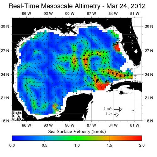 Gulf of Mexico Sea-surface altitude indicating surface current speed (Image: Louisiana State University / NOAA)