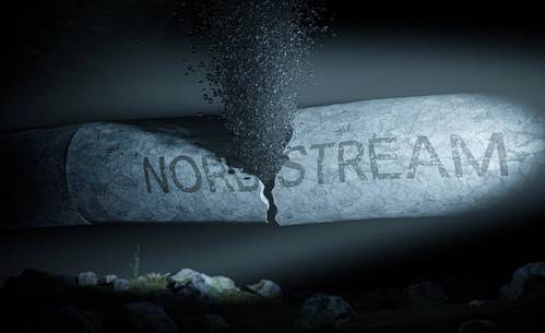 © guteksk7 / Adobe Stock