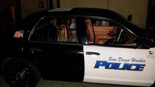 Harbor Police officers found a sea lion wandering a roadway on February 18, 2015. After it was evaluated by SeaWorld specialists and deemed healthy, it was returned to the Pacific Ocean on February 26. (Photo: Port of San Diego)