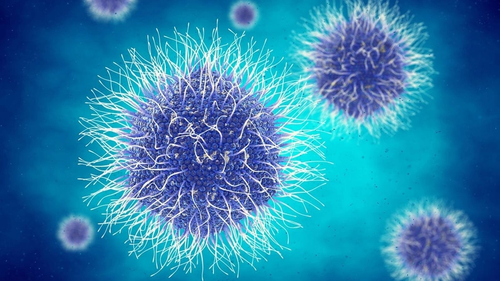 An illustration of an organism infected with the giant virus known as Mimivirus. (Credit: Shutterstock)