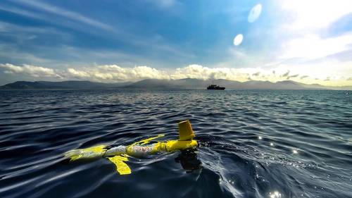 Image Courtesy Blue Ocean Monitoring