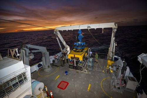 Image courtesy Schmidt Ocean Institute