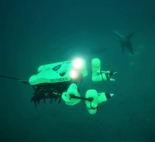 Image courtesy RE2 Robotics