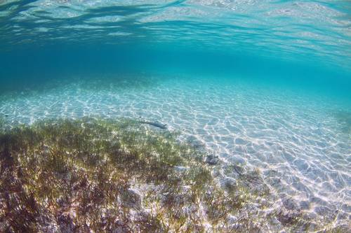 image courtesy National Oceanography Center