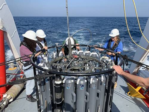 Image courtesy KAUST