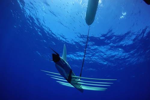 Image: Liquid Robotics