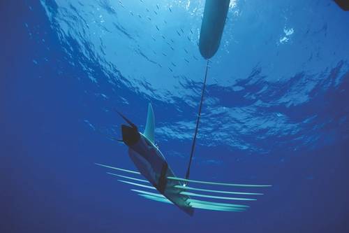 (Image: Liquid Robotics)