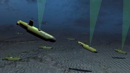 (Image: Blue Ocean Monitoring)