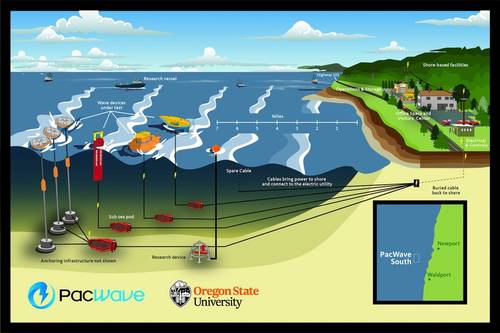 (Image: Oregon State University)