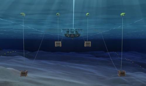 (Image: Shearwater GeoServices)