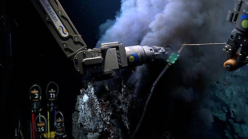 Images courtesy of Schmidt Ocean Institute