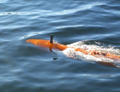 Kongsberg Maritime’s HUGIN AUV is a powerful tool for deep-water hydrographic surveys. Photo: Kongsberg