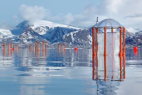 KOSMOS mesocosms in Kongsfjord, Svalbard. (Image credit: Signe Klavsen, GEOMAR)