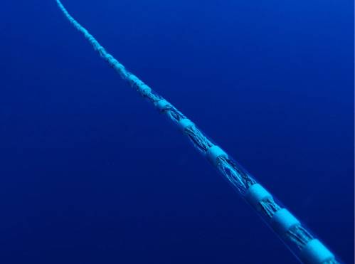 SEA’s KraitArray sonar (Photo: SEA)