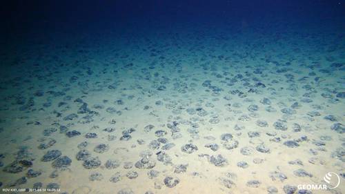 The manganese nodule-covered plains of the central Pacific Photo: ROV team, GEOMAR (CC BY 4.0)