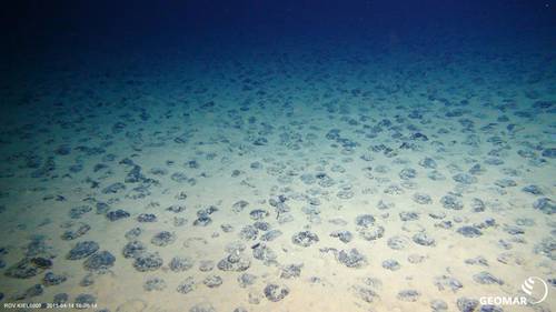 The manganese nodule-covered plains of the central Pacific Photo: ROV team, GEOMAR (CC BY 4.0)