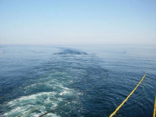 Marine Seismic Streamers / Image by DedMityay - AdobeStock