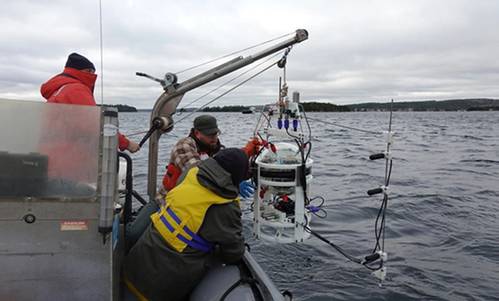 Members of Professor David Barclay’s lab deploy an underwater acoustic reader. Copyright: David Barclay