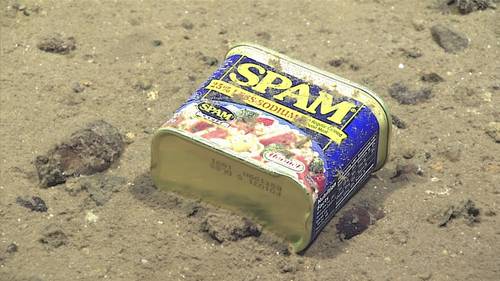 Metal debris – a food tin found at 4,947 meters (3.07 miles) depth in Sirena Canyon off the Mariana Islands. Image courtesy of the NOAA Office of Ocean Exploration and Research, 2016 Deepwater Exploration of the Marianas. (Photo: NOAA)