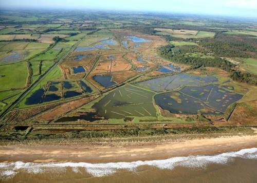 •	Minsmere, one of the case study locations (Photo: NOC)