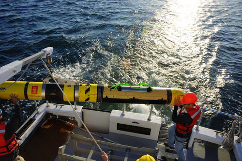 The U.S. Navy's REMUS 600 AUV is fitted with Kraken’s AquaPix MINSAS Synthetic Aperture Sonar. (Photo: Kraken)