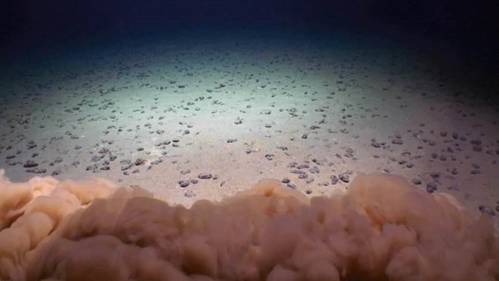Nodules on abyssal seafloor in CCZ & mud cloud from an ROV touching down. (Photo credit: UH/NOAA Deep CCZ)