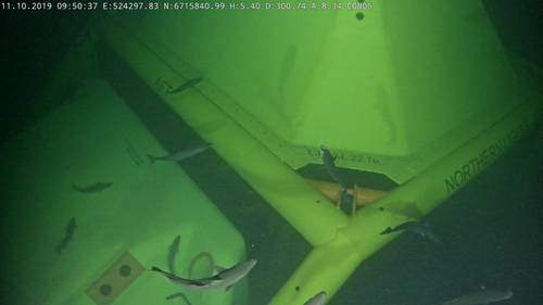 The Northern Lights template on the seabed (Photo: Equinor)