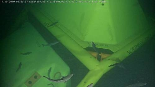 The Northern Lights template on the seabed. The Northern Lights carbon capture and storage (CCS) project, is Equinor's partnership with Royal Dutch Shell and Total, (Photo: Equinor)