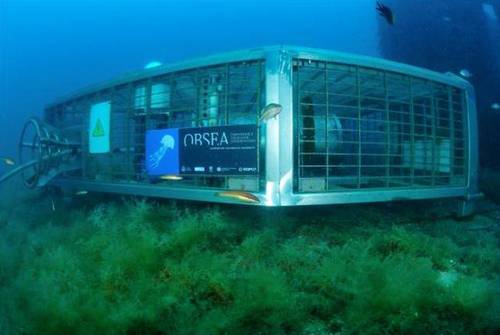 OBSEA observatory operated by UPC – Universidade Politecninca de Catalunya, courtesy of Joaquin Del Rio.