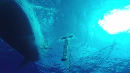 Part of the objects in the Patch are underwater, so the Optech CZMIL’s depth-penetration capability was crucial for surveying. (Image courtesy The Ocean Cleanup)