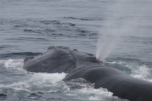 (Photo: NOAA)