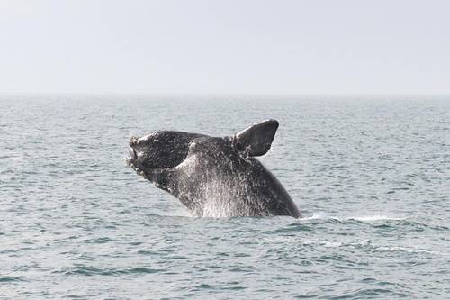 (Photo: NOAA)