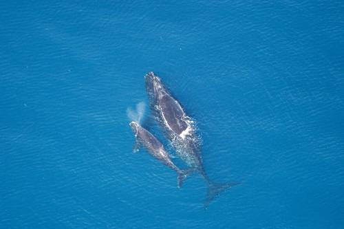 Photo: NOAA