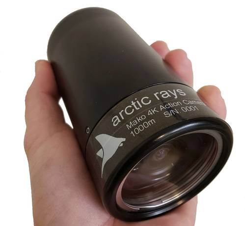 Mako (Photo: Arctic Rays)