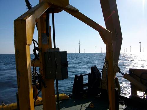 Photo: Coastline Surveys