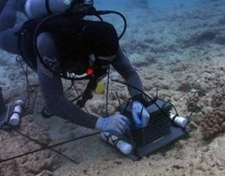 Photo courtesy of NOAA/Interstate Plastics