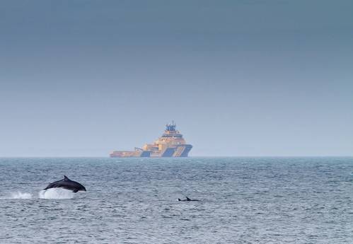 Photo courtesy of Aberdeen Harbour
