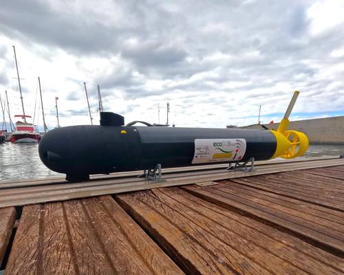 (Photo: ecoSUB Robotics)
