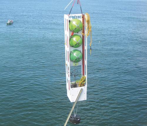 (Photo: Global Ocean Design)
