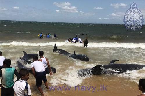 Photo: Sri Lanka Navy