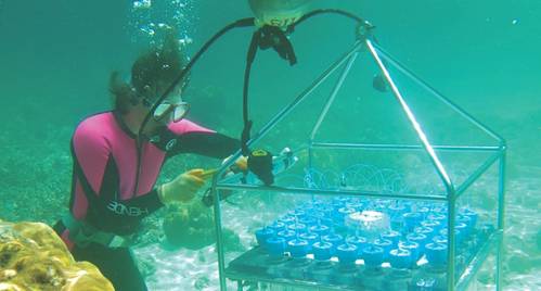 (Photo: McLane Research Labs)