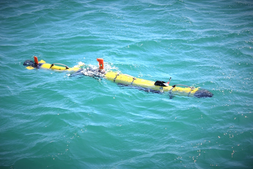 (Photo: Blue Ocean Marine Services)
