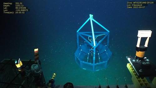 (Photo: Ocean Networks Canada)