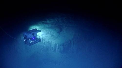 (Photo: NOAA Office of Ocean Exploration and Research)
